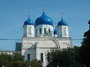 Церковь Боголюбской иконы Божией Матери, , Зимарово, Александро-Невский район, Рязанская область