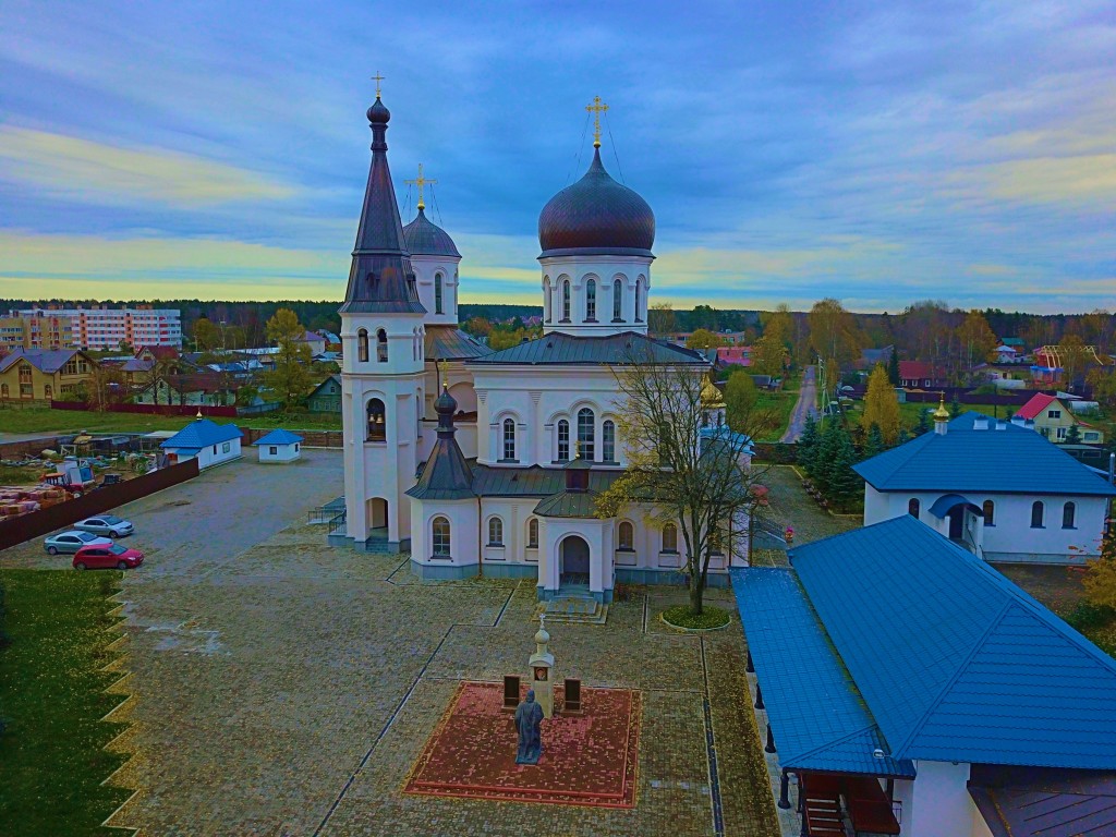 Константино-Еленинский монастырь, Ленинское (Выборгский район, Ленинградская область). общий вид в ландшафте