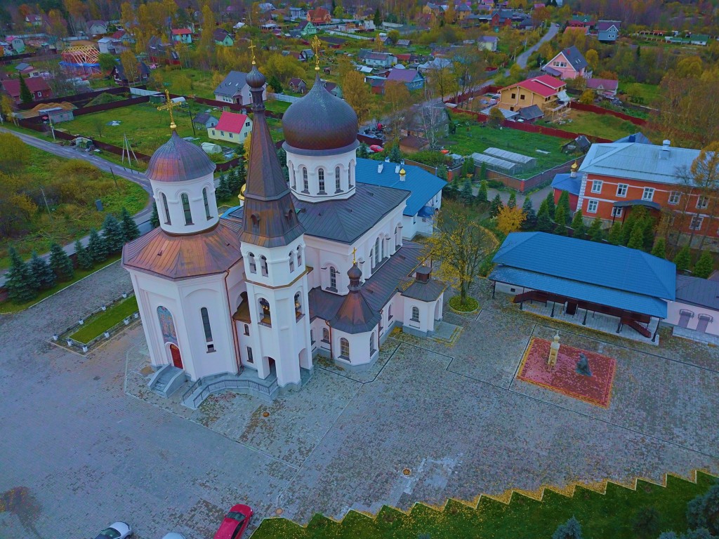Константино-Еленинский монастырь, Ленинское (Выборгский район, Ленинградская область). общий вид в ландшафте