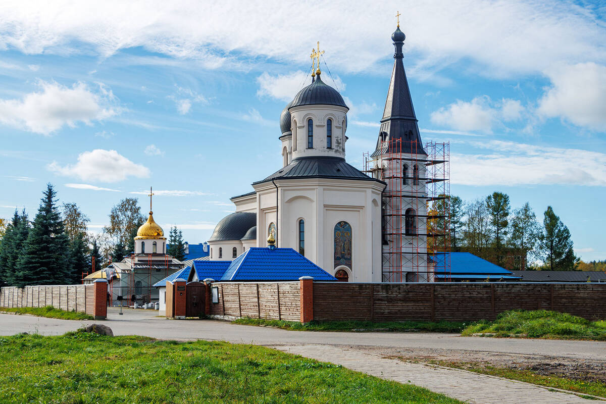 Константино-Еленинский монастырь, Ленинское (Выборгский район, Ленинградская область). общий вид в ландшафте