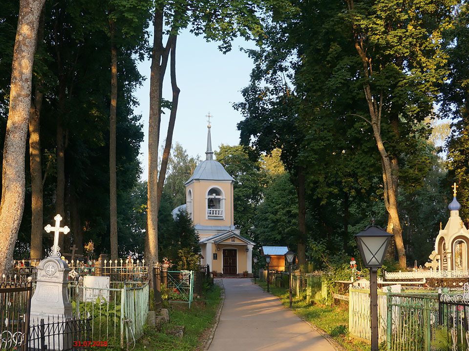 Церковь Покрова Пресвятой Богородицы, Опочка (Опочецкий район, Псковская область). общий вид в ландшафте