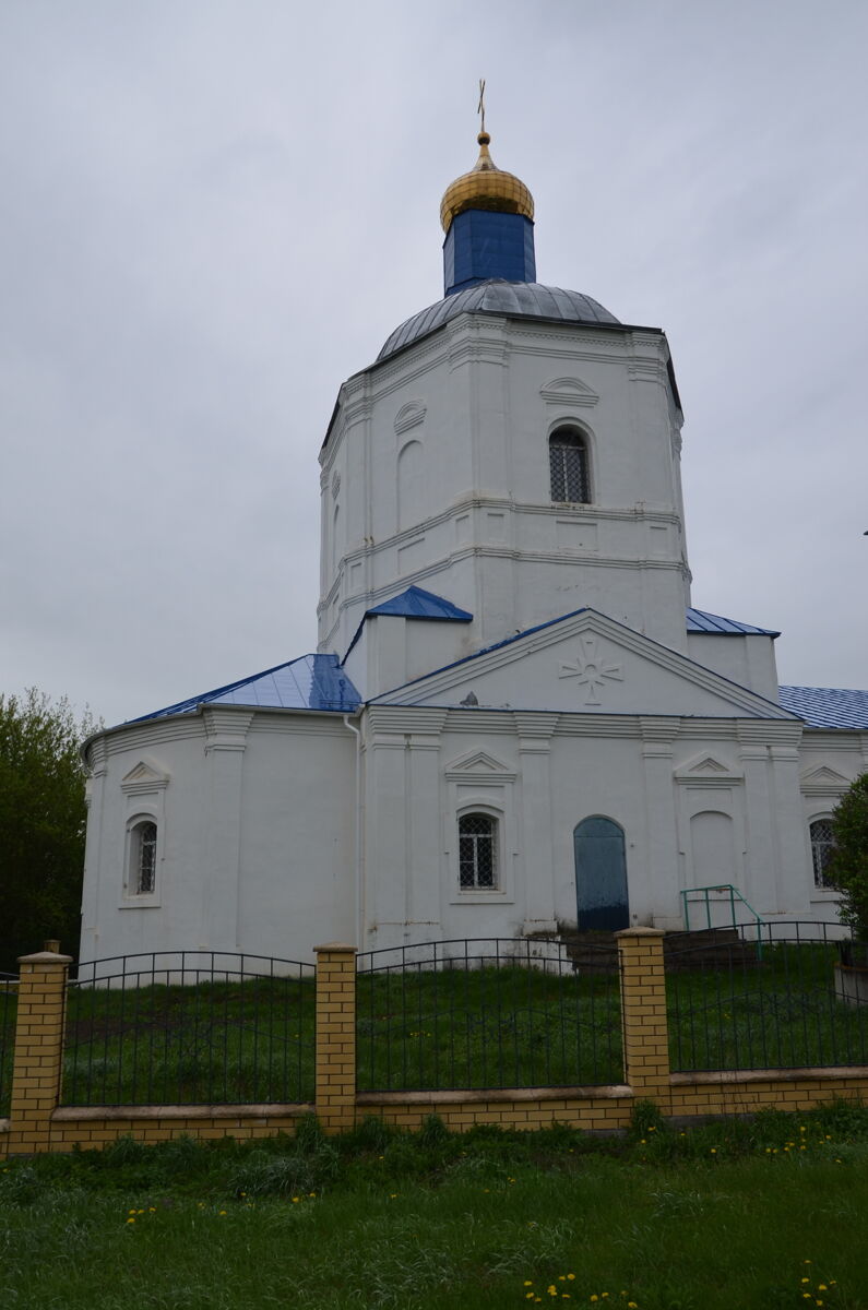 Церковь Успения Пресвятой Богородицы, Карабухино (Путятинский район, Рязанская область). архитектурные детали, Фрагмент северного фасада