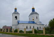 Церковь Успения Пресвятой Богородицы, , Карабухино, Путятинский район, Рязанская область