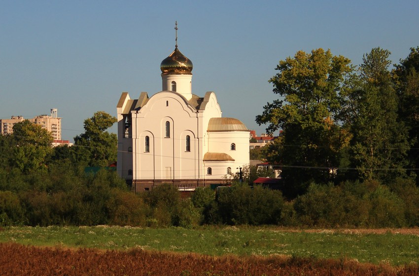 Красносельский район. Церковь Адриана и Наталии. общий вид в ландшафте