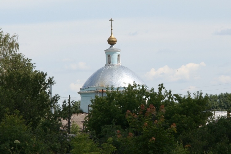 Церковь Введения во храм Пресвятой Богородицы, Летники (Путятинский район, Рязанская область). фасады