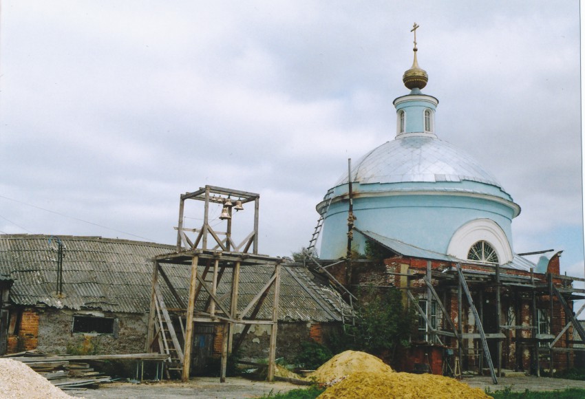 Церковь Введения во храм Пресвятой Богородицы, Летники (Путятинский район, Рязанская область). общий вид в ландшафте
