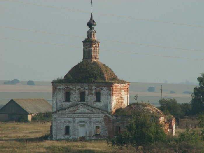 Рыково. Церковь Усекновения главы Иоанна Предтечи. общий вид в ландшафте