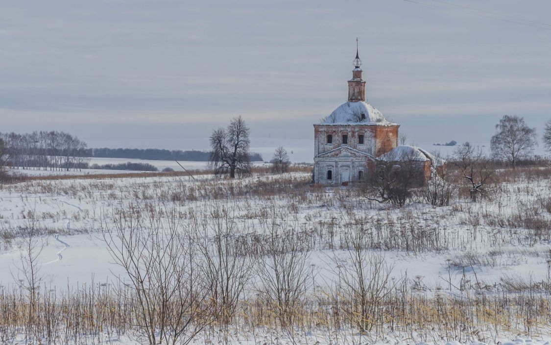 Церковь Усекновения главы Иоанна Предтечи, Рыково (Гаврилово-Посадский район, Ивановская область). общий вид в ландшафте