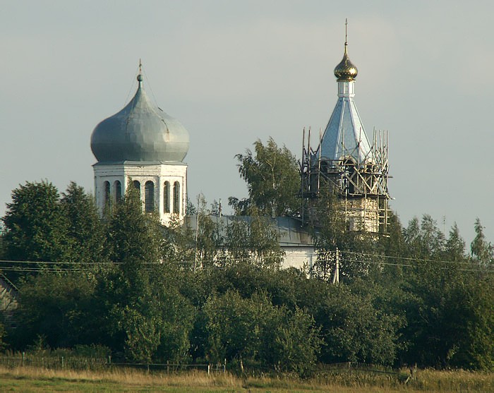 Церковь Покрова Пресвятой Богородицы, Дубенки (Гаврилово-Посадский район, Ивановская область). общий вид в ландшафте