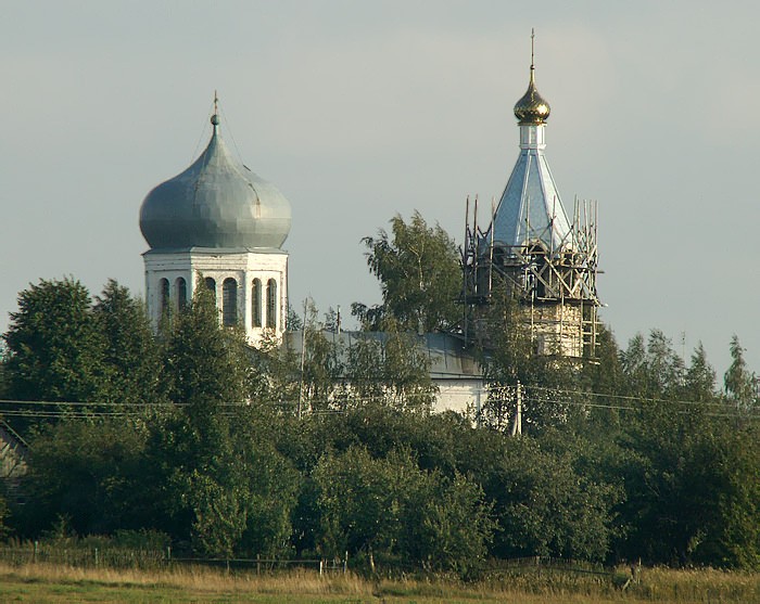 Дубенки. Церковь Покрова Пресвятой Богородицы. общий вид в ландшафте