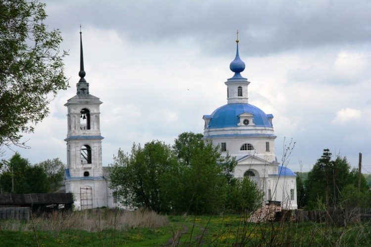 Церковь Покрова Пресвятой Богородицы, Морозовы Борки (Сапожковский район, Рязанская область). общий вид в ландшафте