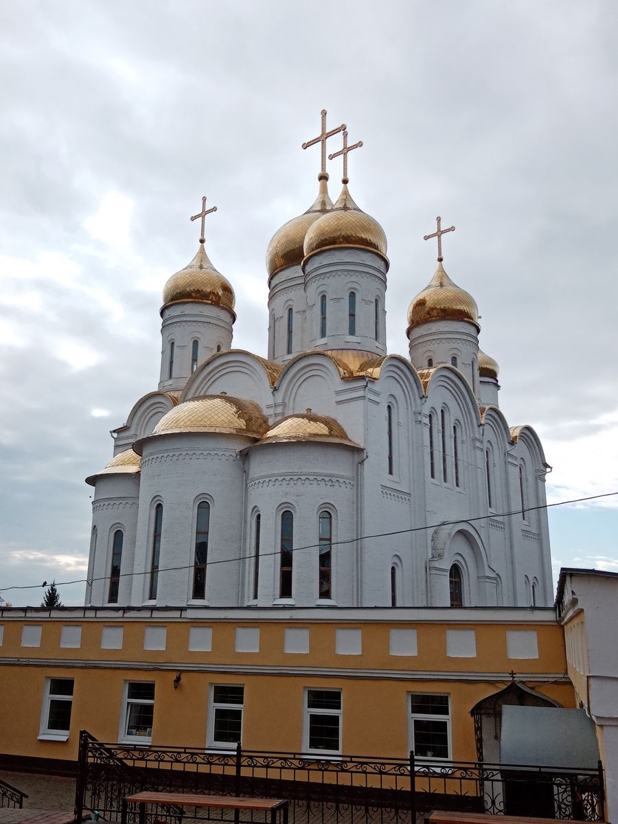 Кафедральный собор Троицы Живоначальной, Брянск (Брянск, город, Брянская область). фасады, Вид на собор с северо-востока