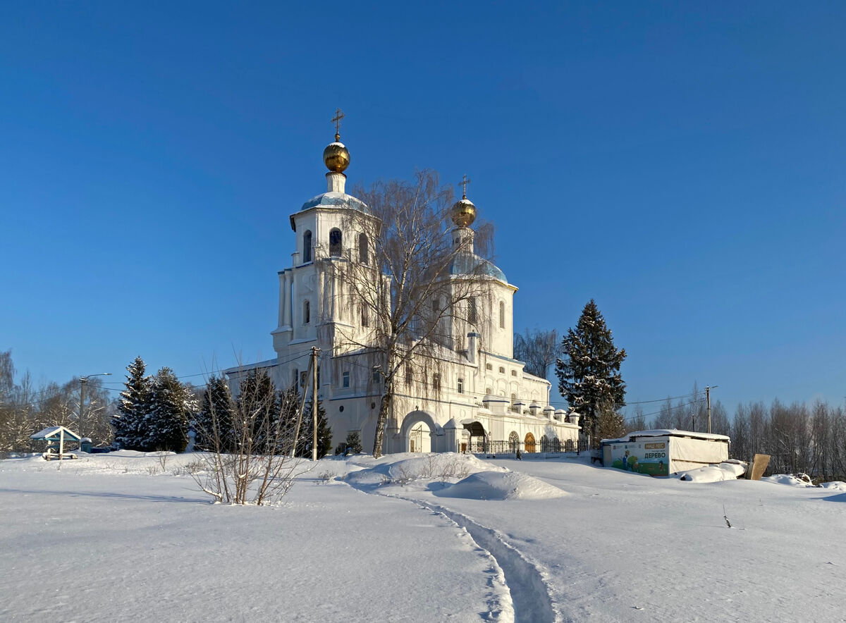 Церковь Спаса Всемилостивого в Спасском-Телешове, Солнечногорск (Солнечногорский городской округ, Московская область). общий вид в ландшафте, Вид с юго-запада