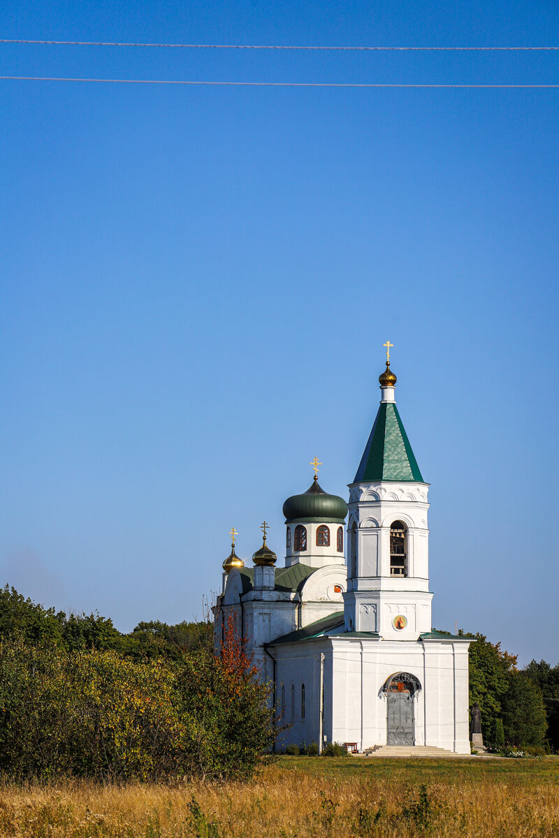 Церковь Рождества Христова, Шовское (Лебедянский район, Липецкая область). общий вид в ландшафте