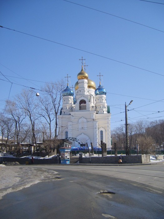 Владивосток. Собор Покрова Пресвятой Богородицы. общий вид в ландшафте