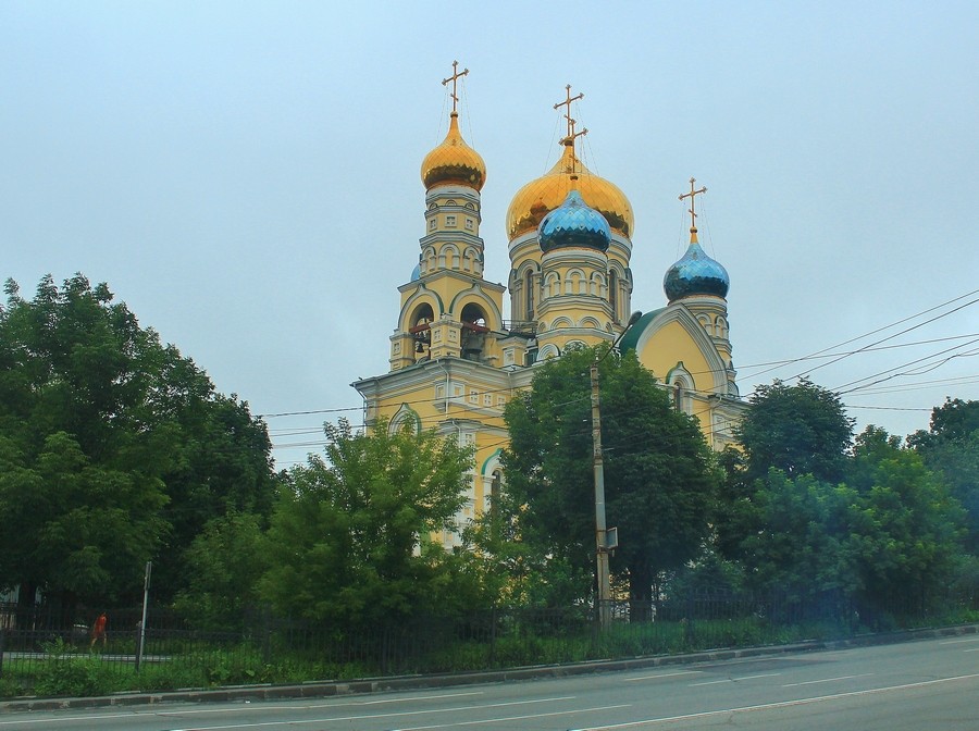 Собор Покрова Пресвятой Богородицы, Владивосток (Владивосток, город, Приморский край). общий вид в ландшафте
