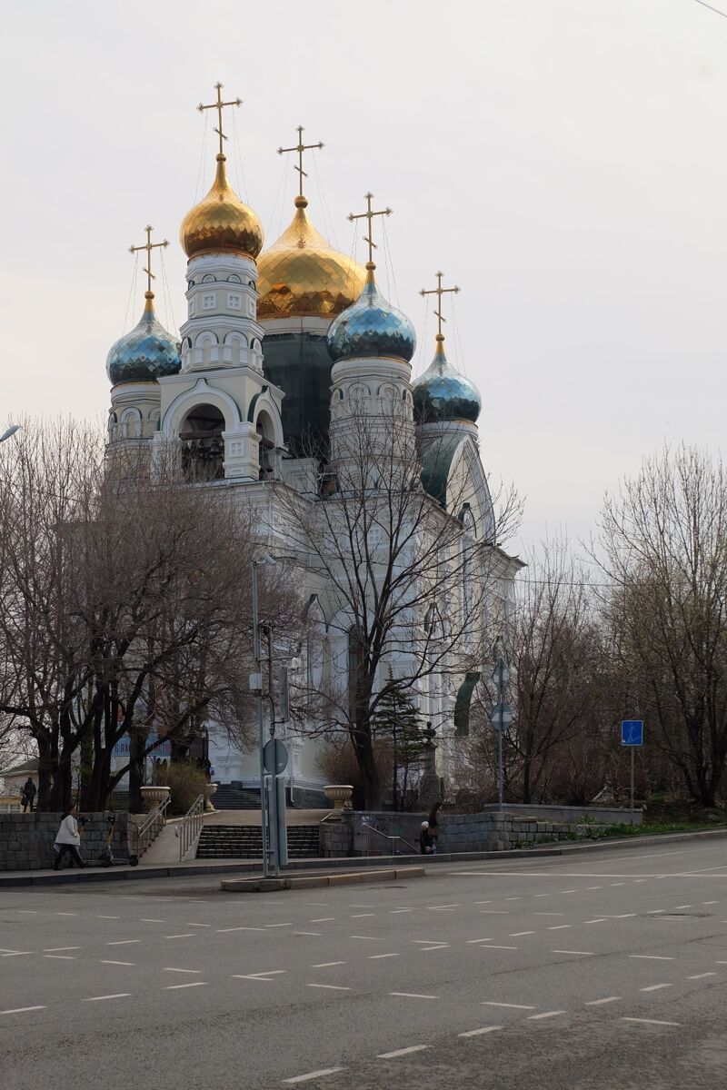 Собор Покрова Пресвятой Богородицы, Владивосток (Владивосток, город, Приморский край). общий вид в ландшафте