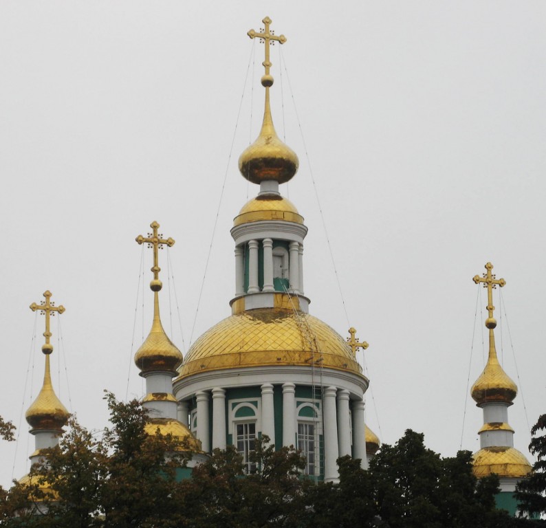 Кафедральный собор Преображения Господня, Тамбов (Тамбов, город, Тамбовская область). архитектурные детали, Купола собора.Вид от часовни над святым источником Питирима Тамбовского