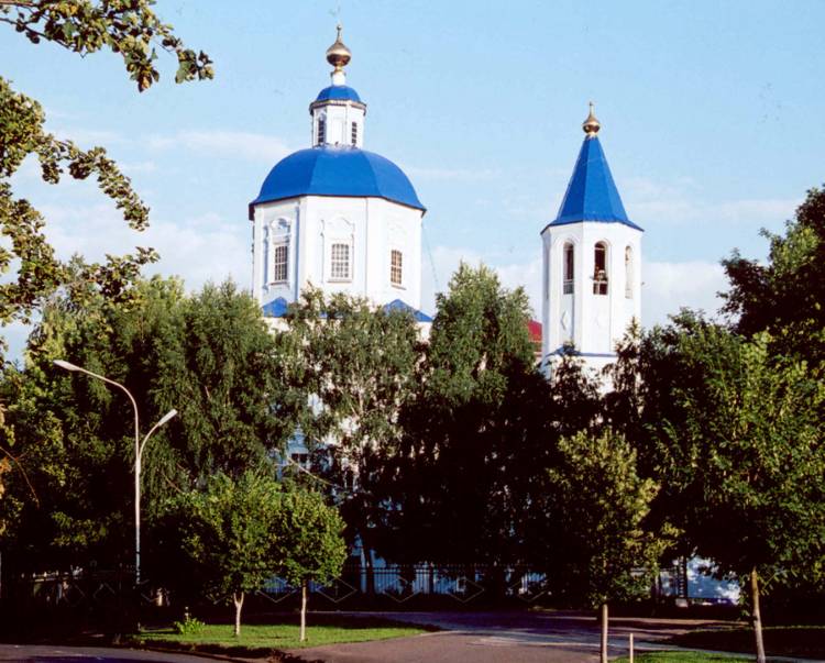 Собор Покрова Пресвятой Богородицы, Тамбов (Тамбов, город, Тамбовская область). архитектурные детали