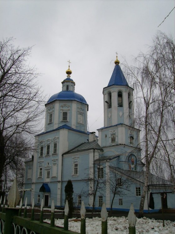 Собор Покрова Пресвятой Богородицы, Тамбов (Тамбов, город, Тамбовская область). общий вид в ландшафте, Вид  с  северо-запада