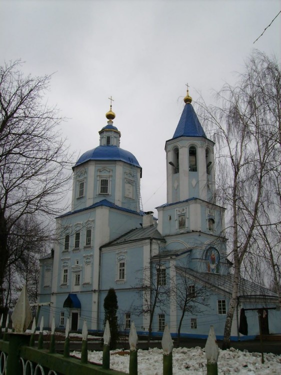 Тамбов. Собор Покрова Пресвятой Богородицы. общий вид в ландшафте, Вид  с  северо-запада