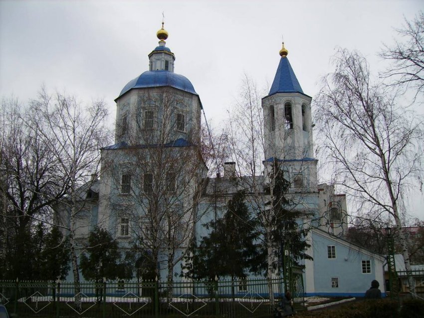 Собор Покрова Пресвятой Богородицы, Тамбов (Тамбов, город, Тамбовская область). общий вид в ландшафте
