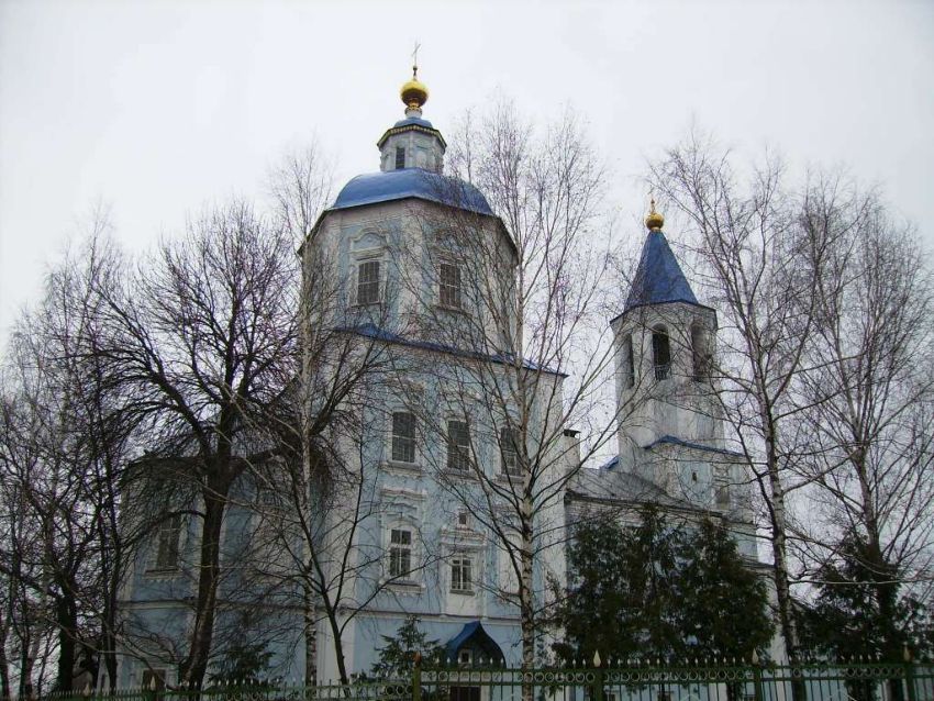 Собор Покрова Пресвятой Богородицы, Тамбов (Тамбов, город, Тамбовская область). общий вид в ландшафте, Вид с  северо-востока
