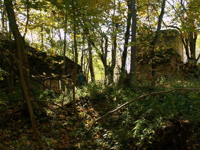 Церковь Владимирской иконы Божией Матери, Борщёвка (Вичугский район, Ивановская область). интерьер и убранство, Деревья на месте обрушившейся части храма