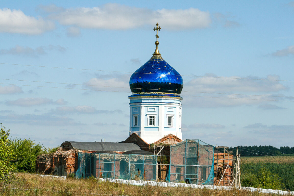 Церковь Казанской иконы Божией Матери, Каменка (Тербунский район, Липецкая область). фасады