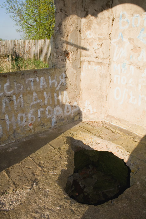 Часовня-усыпальница Васильчиковых, Бор (Шимский район, Новгородская область). архитектурные детали