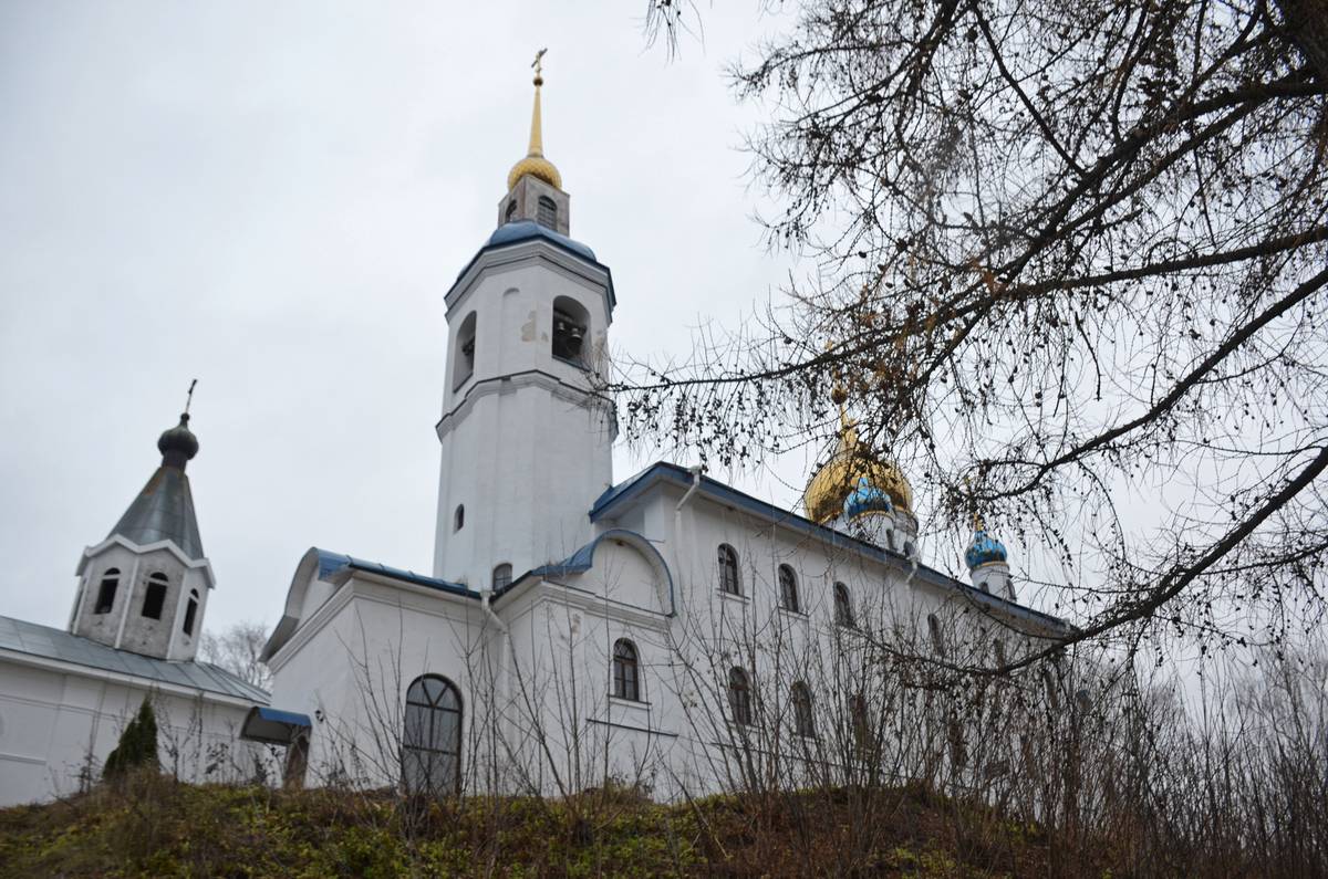 Иоанно-Богословский Череменецкий мужской монастырь. Собор Иоанна Богослова, Череменец (Лужский район, Ленинградская область). фасады