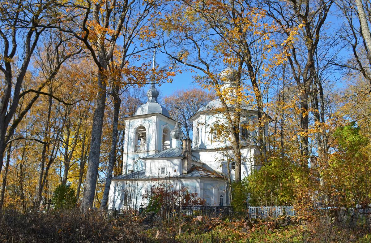 Церковь Покрова Пресвятой Богородицы, Павы (Порховский район, Псковская область). фасады