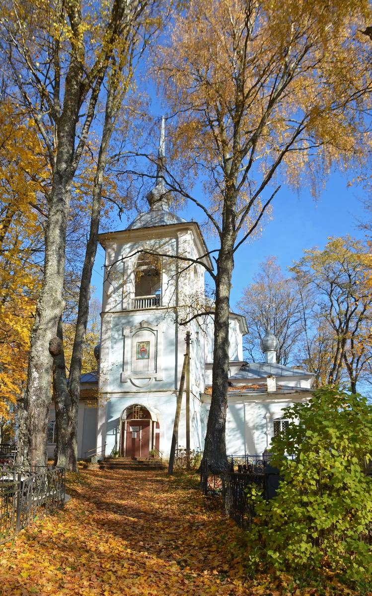 Церковь Покрова Пресвятой Богородицы, Павы (Порховский район, Псковская область). фасады