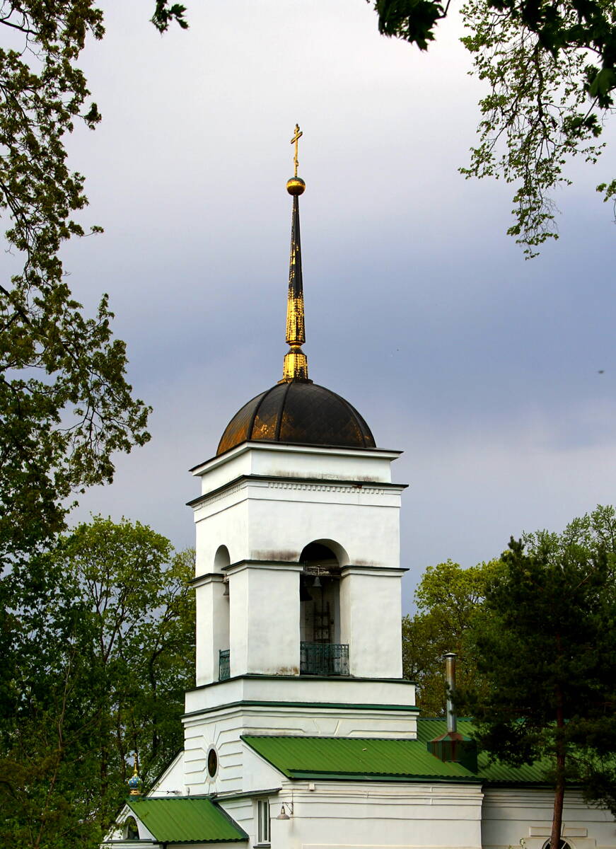 Церковь Иоанна Предтечи на Крестительском кладбище, Орёл (Орёл, город, Орловская область). архитектурные детали