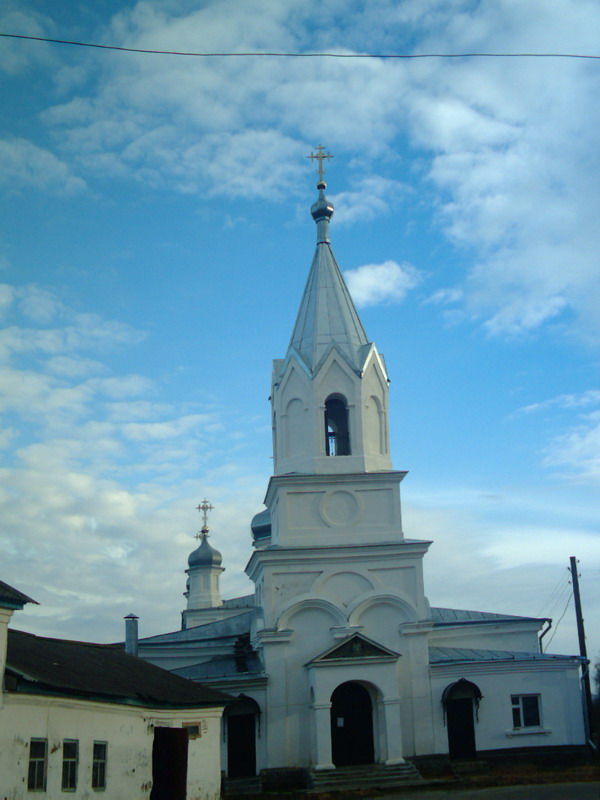 Новосёлки. Церковь Троицы Живоначальной. фасады, Вид с западной стороны
