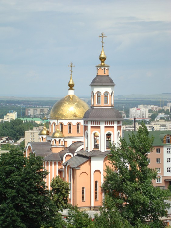 Саратов. Алексиевский женский монастырь. общий вид в ландшафте