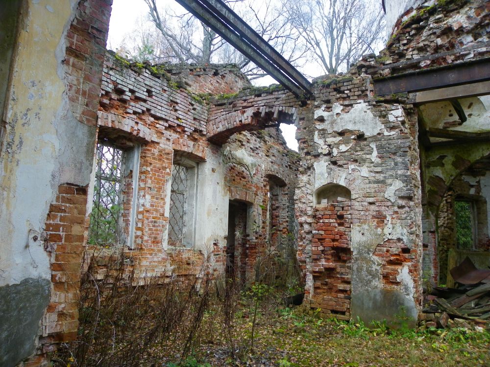 Церковь Михаила Архангела, Боровно (Окуловский район, Новгородская область). интерьер и убранство