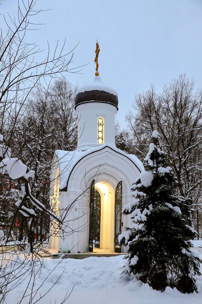фасады. Часовня Владимирской иконы Божией Матери, Вологда (Вологда, город, Вологодская область)