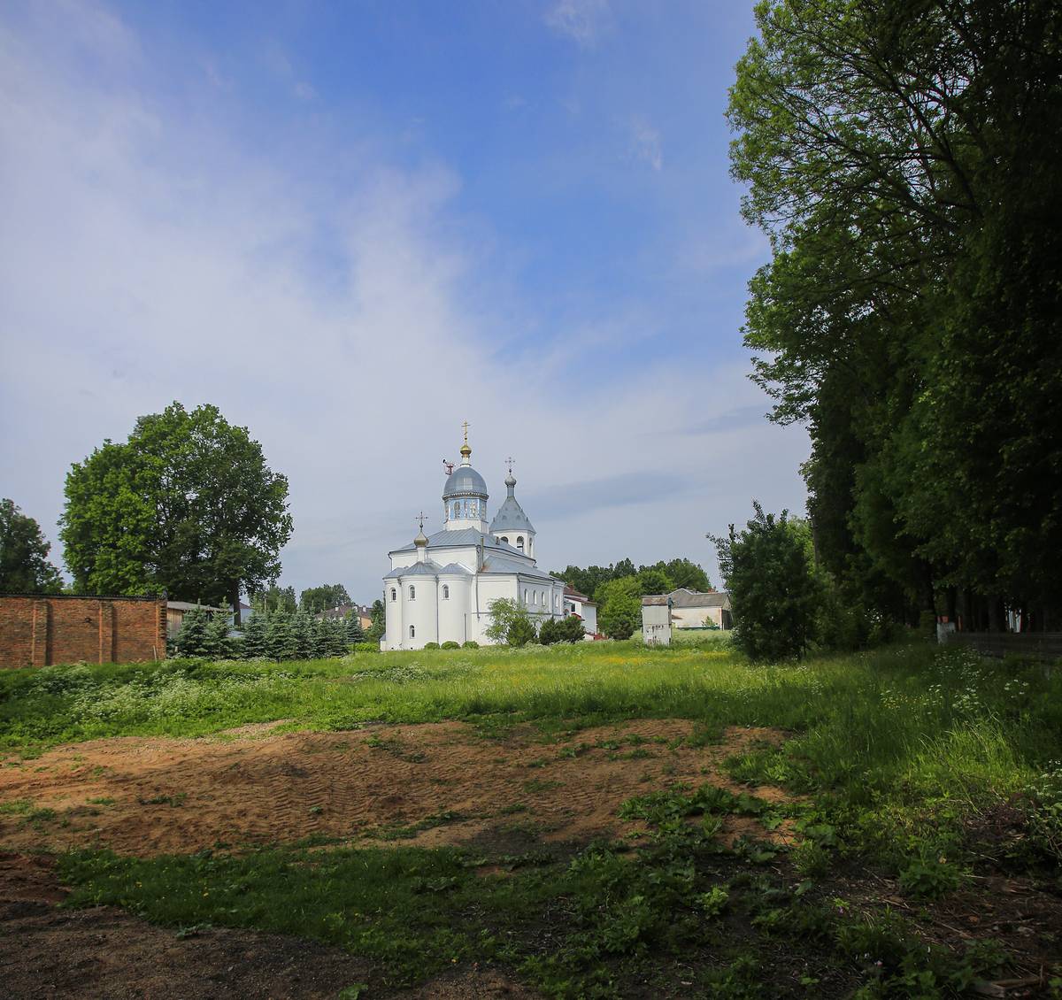 Церковь Илии Пророка, Ельня (Ельнинский район, Смоленская область). общий вид в ландшафте