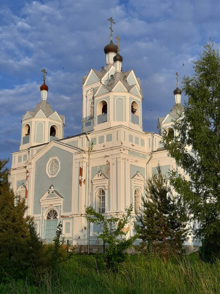Церковь Успения Пресвятой Богородицы, Демидов (Демидовский район, Смоленская область). фасады, Вид с северо-запада
