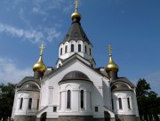 Собор Троицы Живоначальной