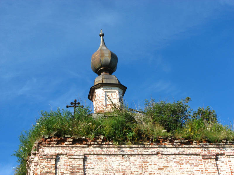 Дмитриевское (Сурковский с/с). Церковь Троицы Живоначальной. архитектурные детали