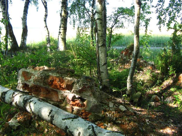 Церковь Покрова Пресвятой Богородицы, Минино (Череповецкий район, Вологодская область). общий вид в ландшафте, 		      