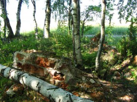 Минино. Церковь Покрова Пресвятой Богородицы