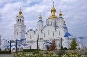 Церковь Преображения Господня (новая), , Чебаркуль, Чебаркульский район и г. Чебаркуль, Челябинская область