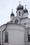 Церковь Димитрия Солунского, , Троицк, Троицкий район и г. Троицк, Челябинская область