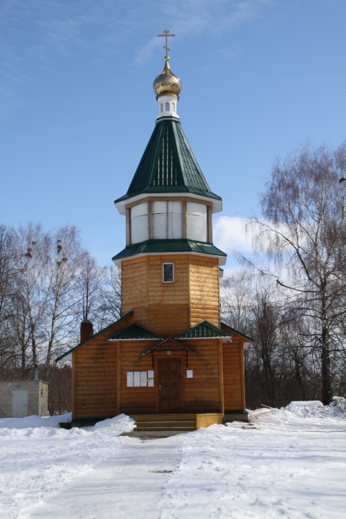 Павловичи. Церковь Благовещения Пресвятой Богородицы. архитектурные детали