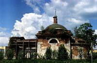 Цесарка. 
