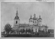 Церковь Троицы Живоначальной - Медведь - Шимский район - Новгородская область