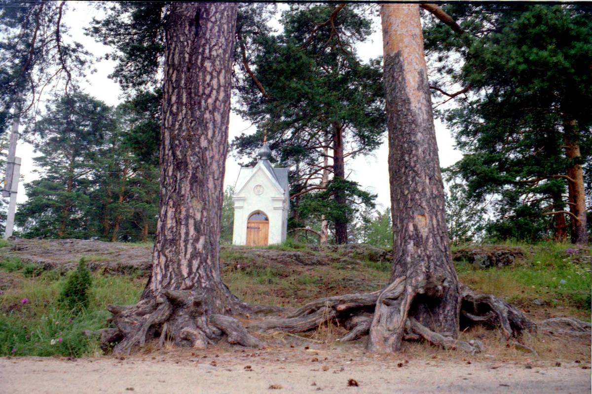 документальные фотографии. Часовня Николая Чудотворца, Царевичи (Прионежский район, Республика Карелия)
